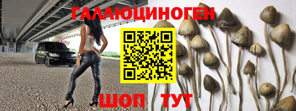Псилоцибиновые грибы Magic Shrooms Еманжелинск