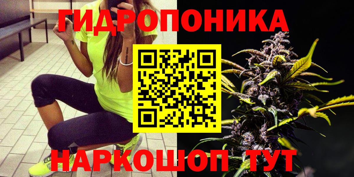 Конопля семена  Марихуана Amnesia  Еманжелинск  Бошки марихуана White Widow  Конопля планчик  Вход с VPN 